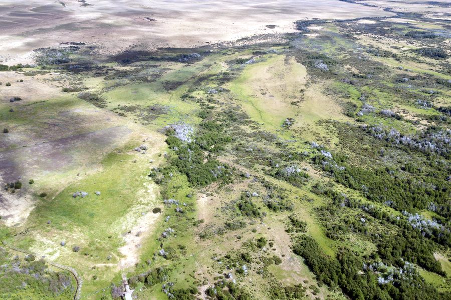 Fundo Las Vertientes - Foto 12