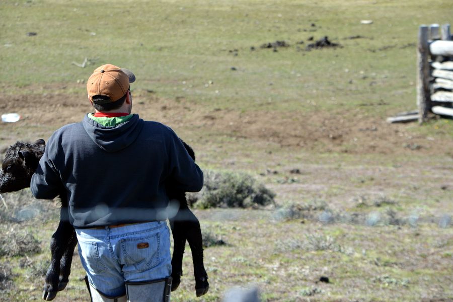 Fundo Las Vertientes - Foto 14