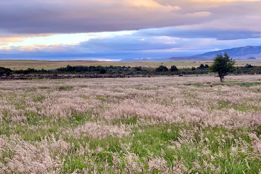 Fundo Las Vertientes - Foto 29