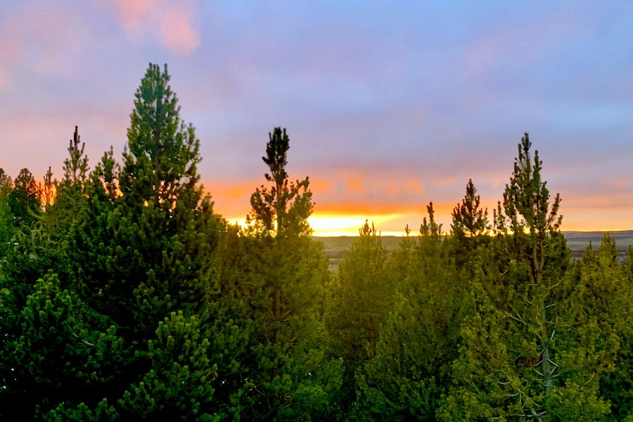 Fundo Las Vertientes - Foto 34