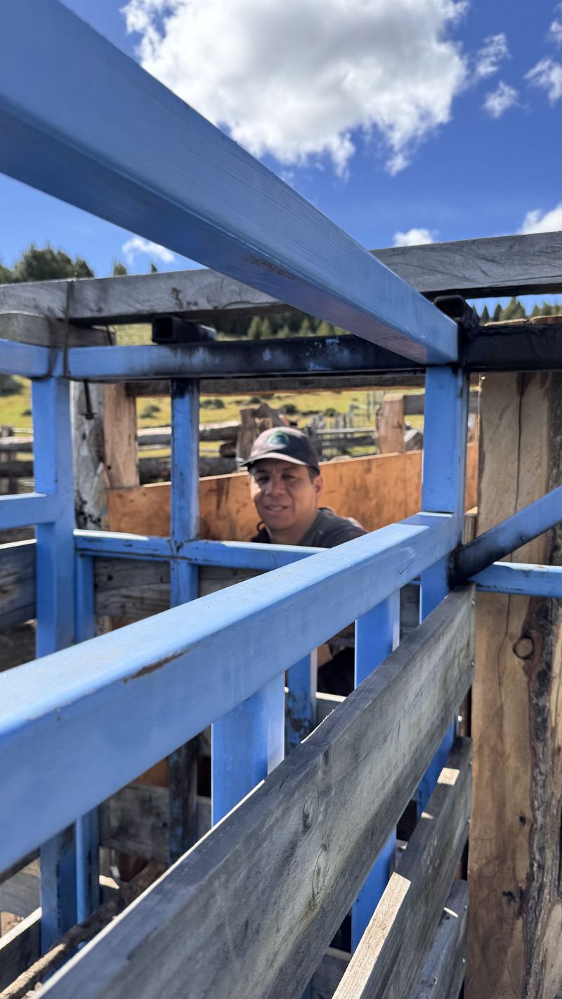 Bladimir Calderón - Inseminación #7