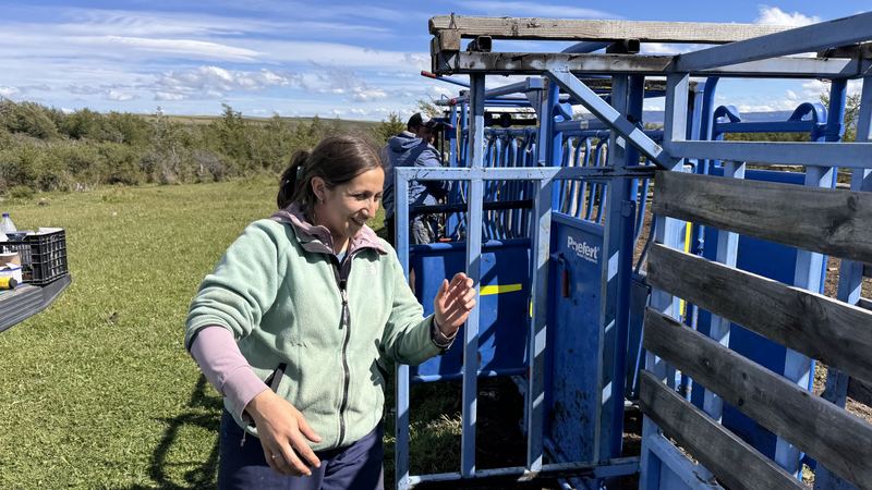 Bladimir Calderón - Inseminación #9