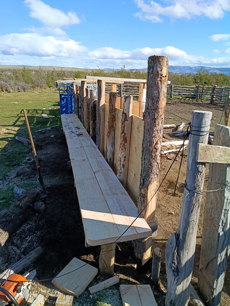 Víctor Manuel González - Fundo Las Vertientes #3