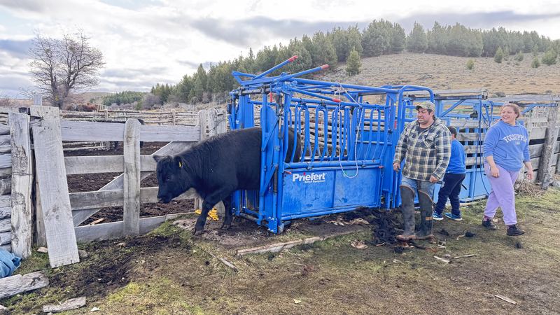 Víctor Manuel González - Fundo Las Vertientes #7