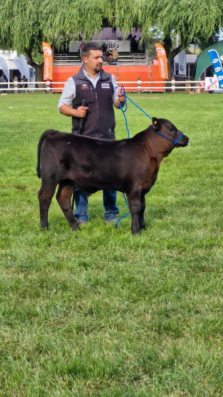 Felipe González - Trabajo en terreno #10