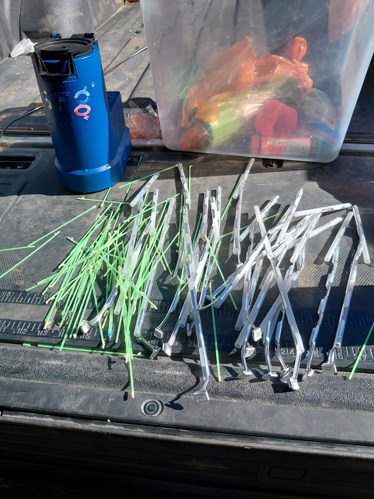 Felipe González - Trabajo en terreno #9